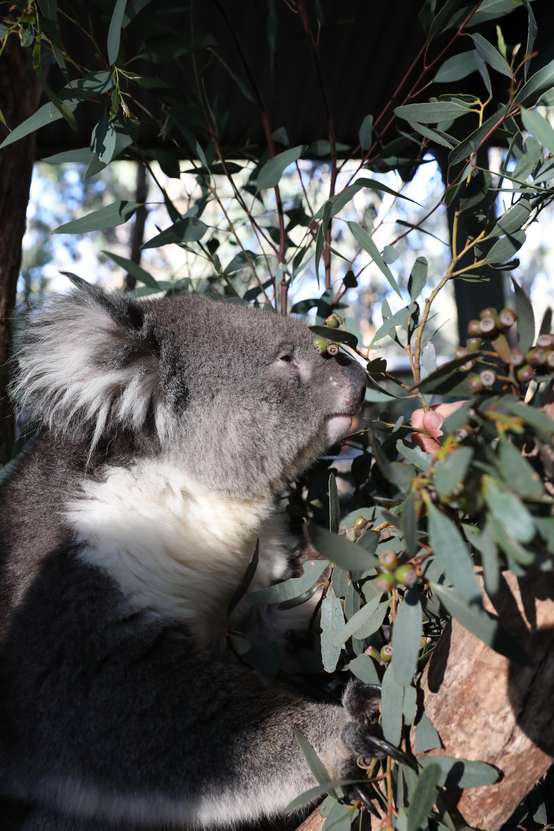 2019 07 19 15 14 33 Canon EOS 5D Mark IV 0034